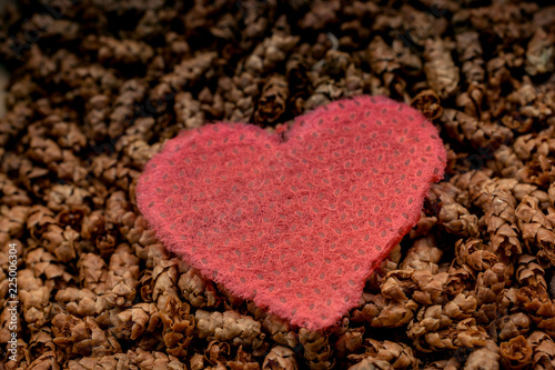 Heart shaped objects on leaves