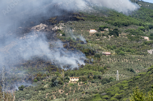 Wildfire close to houses in the forest