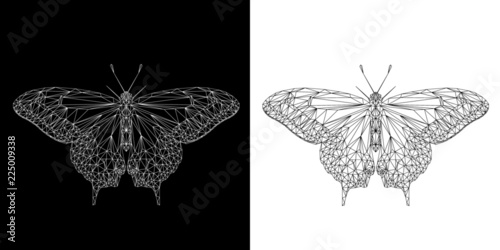 Butterfly abstract low poly wireframe isolated on black and white background, symmetrical vector illustration. Insect with geometry triangle. Polygonal style trendy abstract concept. 