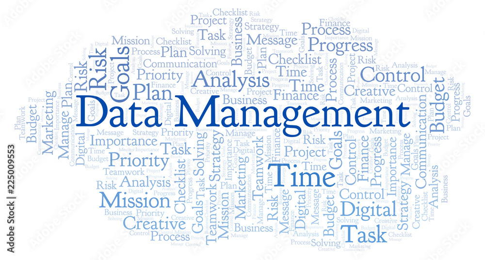 Data Management word cloud, made with text only.