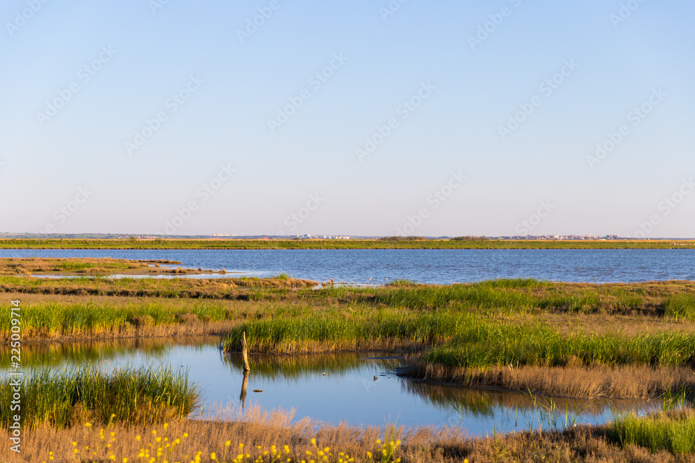 Stubble fields and rivers on a sunny summer day in Evros Delta, Greece