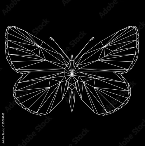 Butterfly polygonal low poly wireframe isolated on black background,vector illustration. Insect with geometry triangle. Suitable for printing on a t-shirt. Polygonal style trendy abstract concept. 