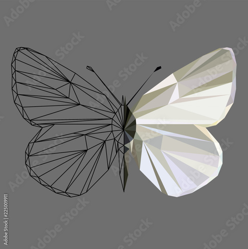 Canvas Print Butterfly polygonal low poly wireframe isolated on grey background,vector illustration