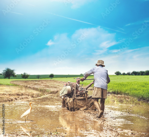 Indian man preparing the rice paddy fields with a hand rototiller (walking tractor)