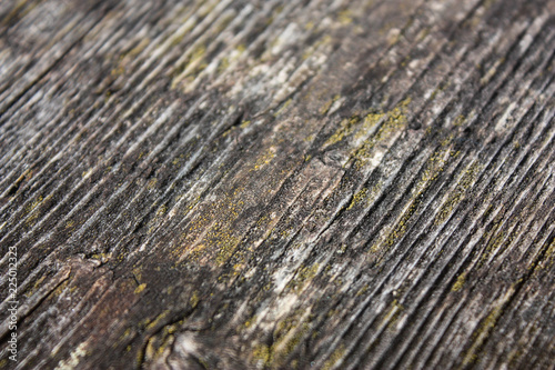 Trama texture del legno con insenature