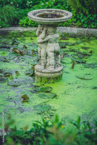 Small garden fountain in spring photo