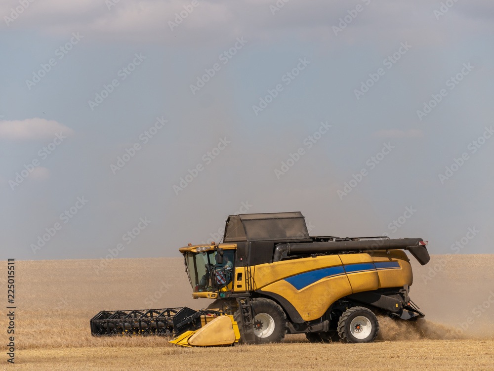 Obraz premium Yellow combine harvesters on the field. Combine harvest on grain field. Summer harvest and blue sky. Harvesting on grain field. Harvests wheat in the fields in summer.