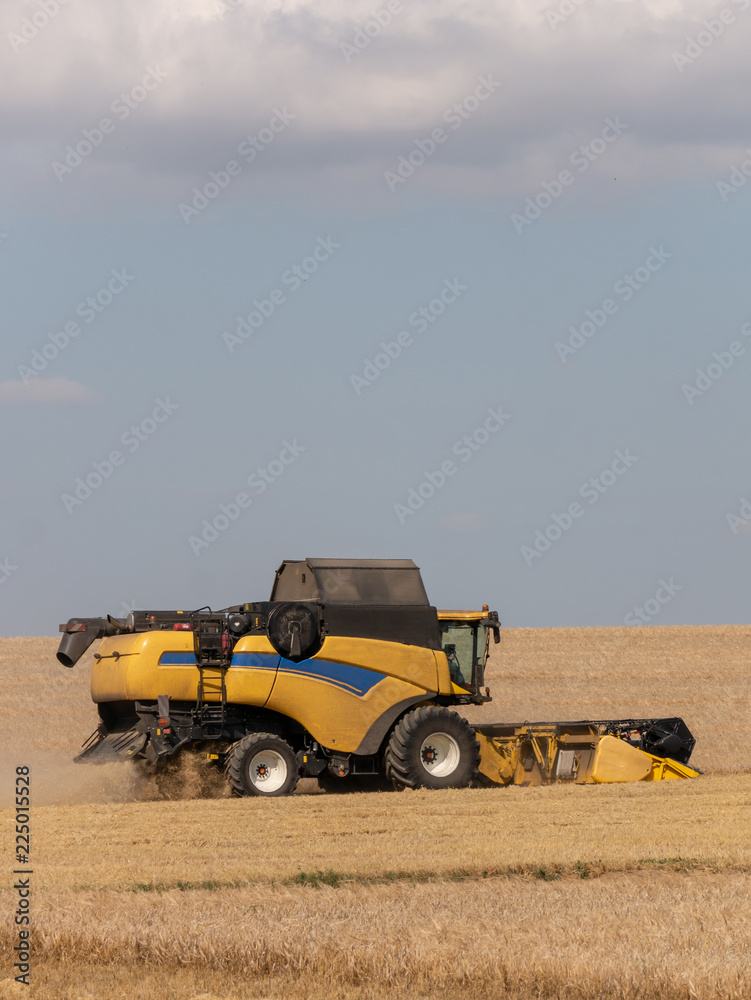 Obraz premium Yellow combine harvesters on the field. Combine harvest on grain field. Summer harvest and blue sky. Harvesting on grain field. Harvests wheat in the fields in summer.