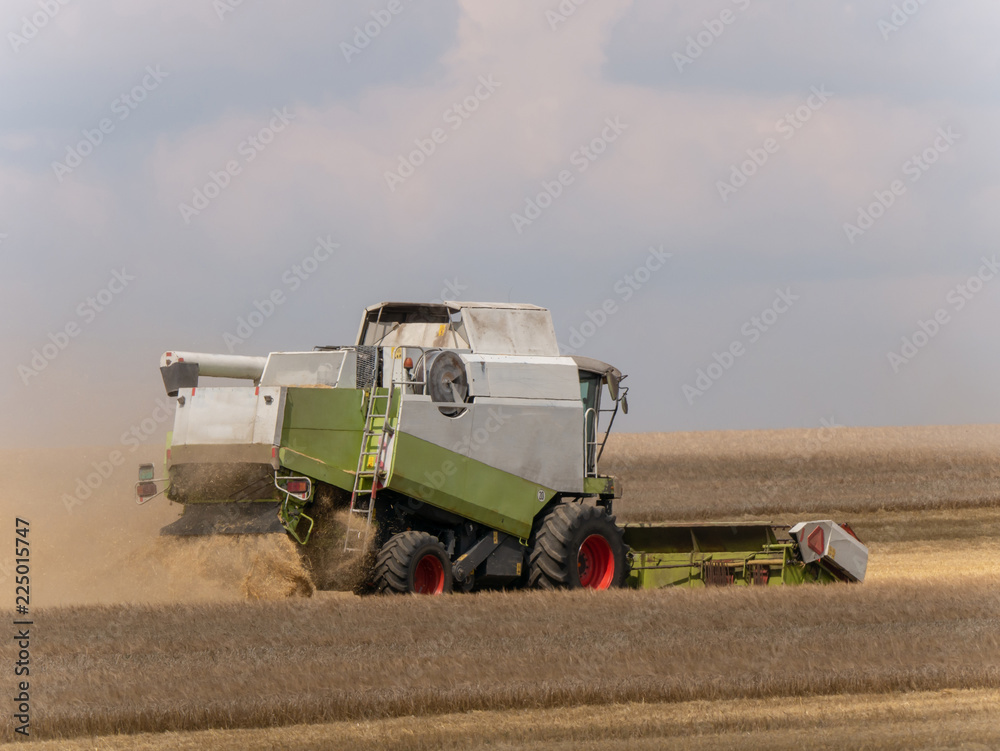 Obraz premium Combine harvesters on the field. Combine harvest on grain field. Summer harvest and blue sky. Harvesting on grain field. Harvests wheat in the fields in summer.