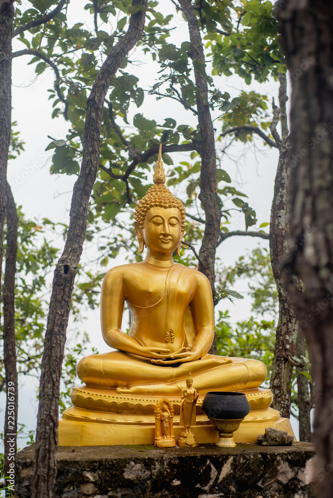 Buddha statue in the forest