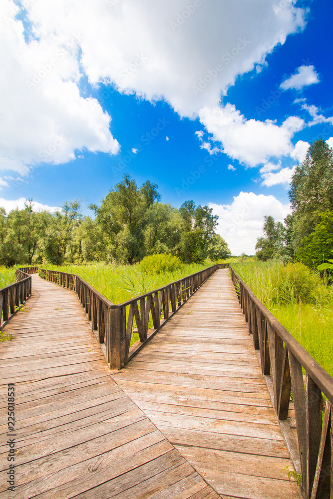      Wooden path in nature park Kopacki rit in Slavonia, Croatia, popular tourist destination and birds reservation 