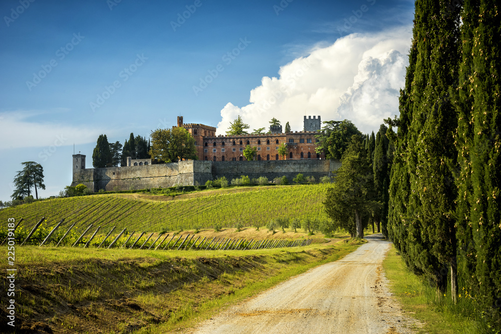 Castles and vineyards of Tuscany, Chianti wine region of Italy