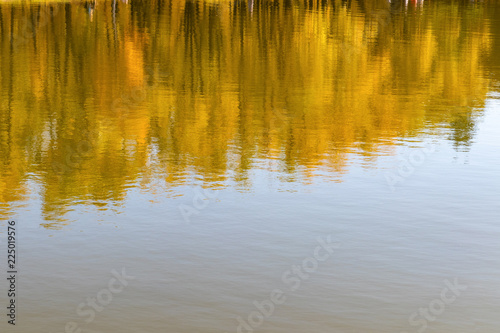 Surface of lake with reflection of golden forest, horizontal background with copy space