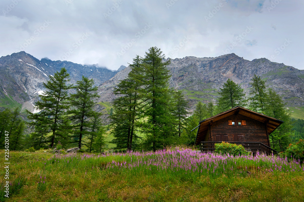 Typical wooden Home in alps Mountains, Italy
