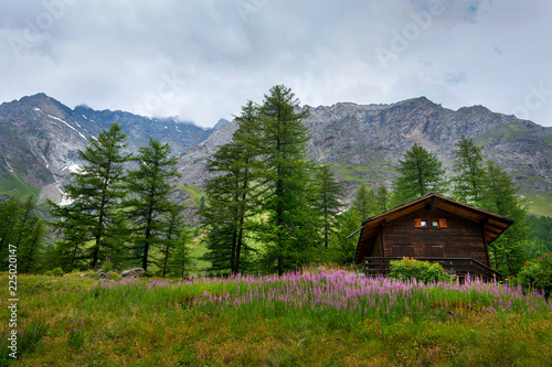 Typical wooden Home in alps Mountains, Italy