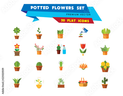 Potted Flowers Icon Set. Money Tree Cactus In Pot Cactus And Spray Bottle Plant Blooming Flower Chinese Peach Tree Cactus Red Flower Cactus In Flower Pot Tree In Pot Aloe Vera