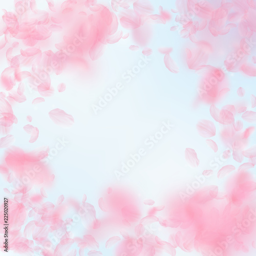 Sakura petals falling down. Romantic pink flowers vignette. Flying petals on blue sky square backgro © Begin Again