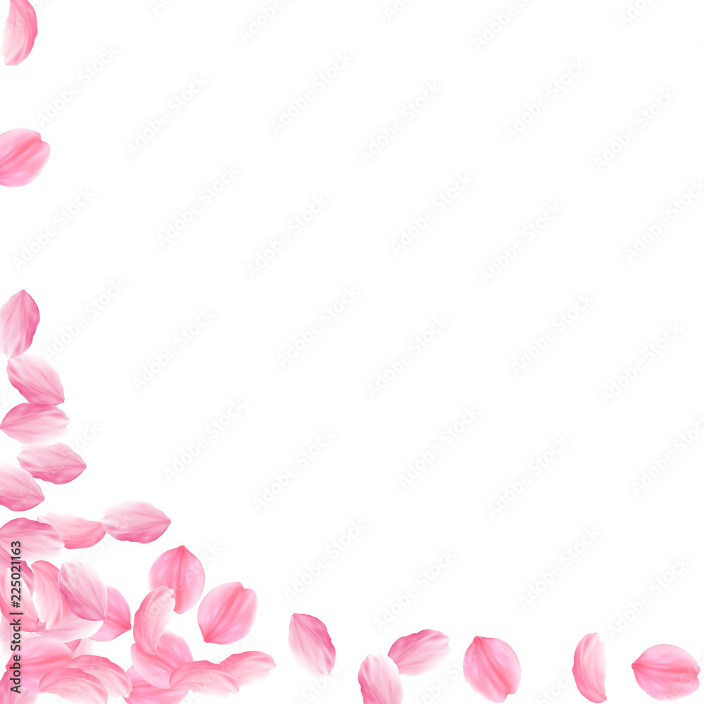 Sakura petals falling down. Romantic pink bright big flowers. Thick flying cherry petals. Square lef