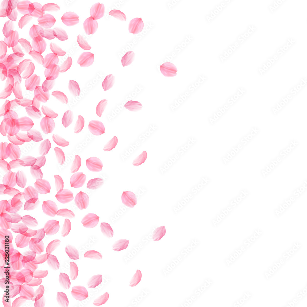 Sakura petals falling down. Romantic pink silky medium flowers. Thick flying cherry petals. Scatter 