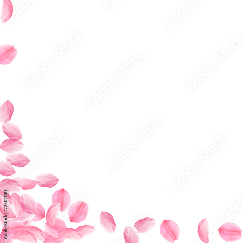 Sakura petals falling down. Romantic pink bright big flowers. Thick flying cherry petals. Square lef