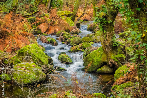 River flows in slow exposure through the many colors of autumn  Reds and Yellows on the River