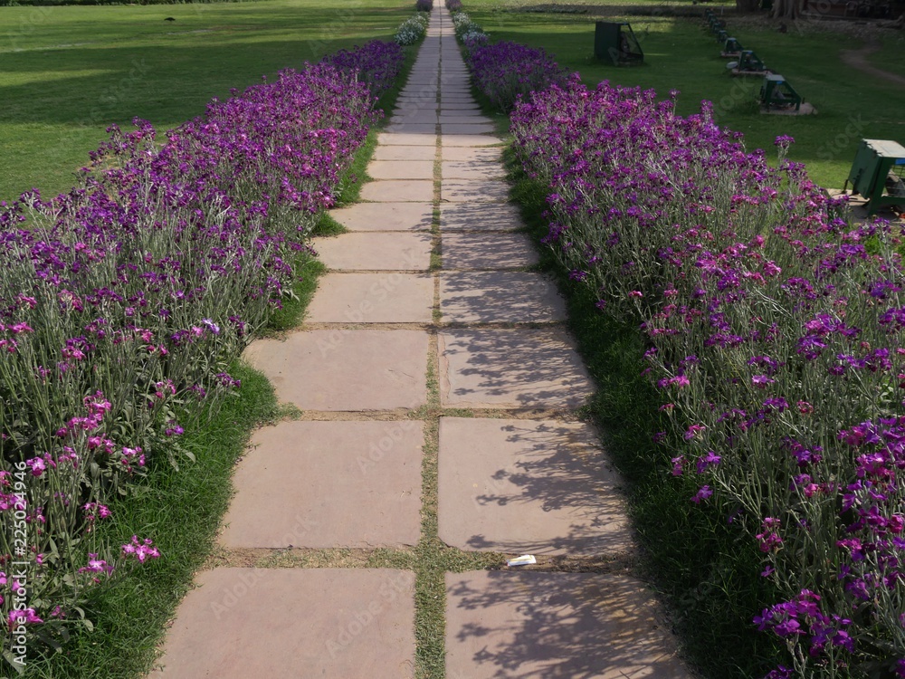 Close up of a paved pathway bordered by small violet flowers in a landscaped garden