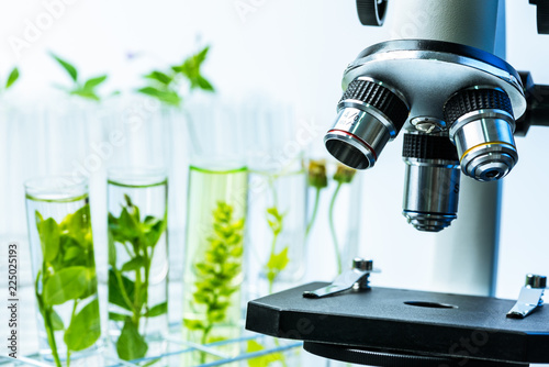 Fotografija microscope and young plant in science test tube , lab research biochemistry , bi