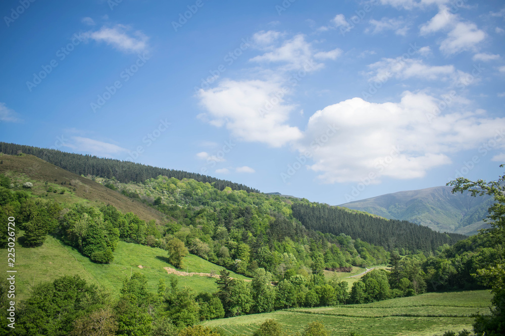 Un bello campo en Cantabria.
