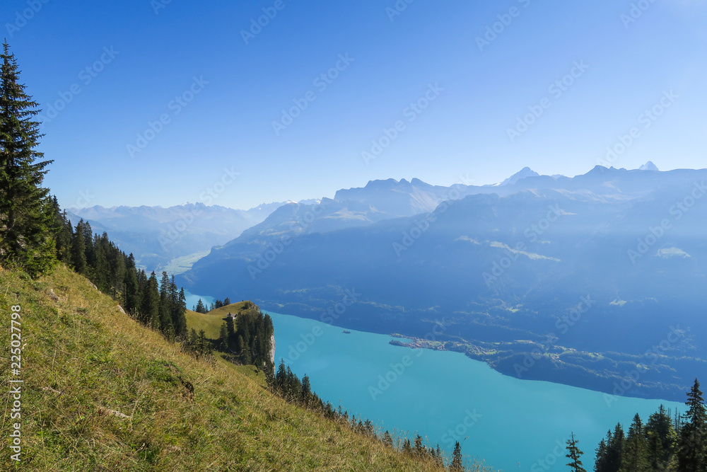 Hiking in the stunning Swiss mountains, view of the alps, green grass, forest swiand footpath