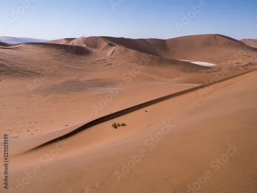 Fototapeta Naklejka Na Ścianę i Meble -  Namibia desert sand dunes, Namibia, Africa