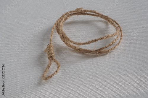 tiny brown noose on a white background