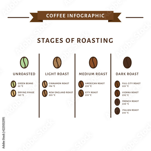 Coffee infographic. Stages of roasting. Flat style, vector illustration.