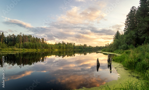 Панорама летнего вечернего пейзажа на Уральском озере с елями на берегу, Россия, август