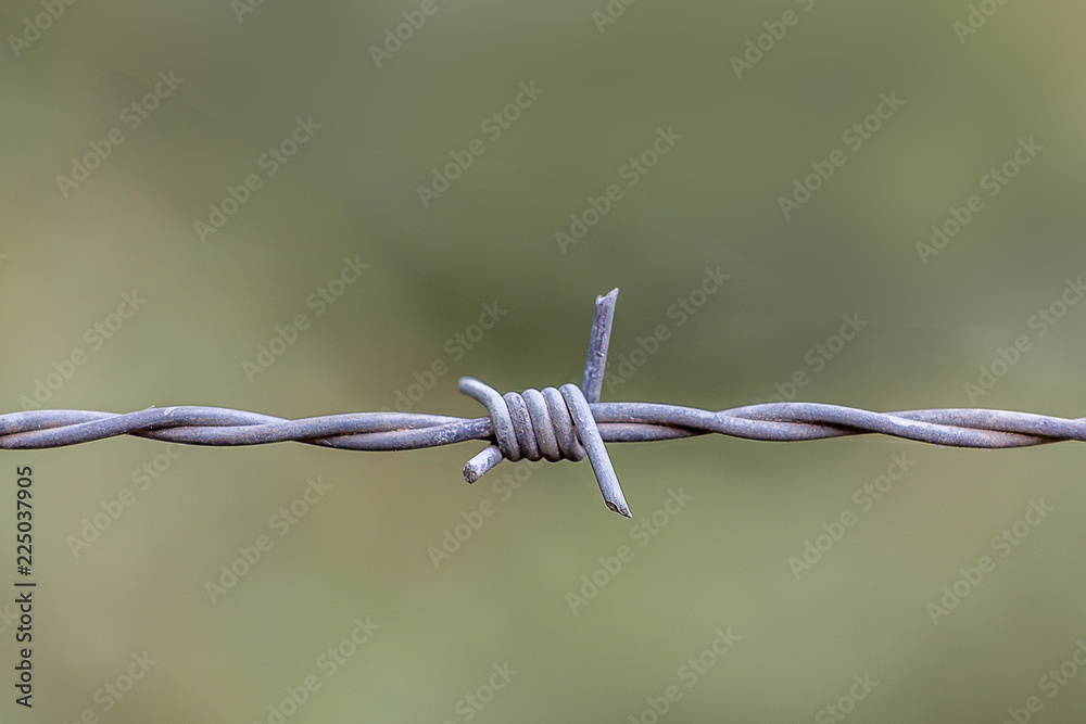 Barb Wire Under a Cloudy Day