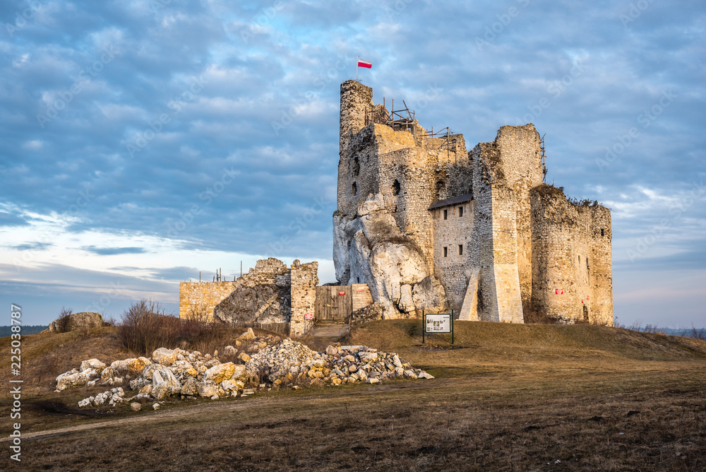 Obraz premium Zamek w Mirowie
