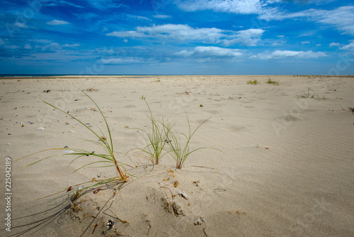 Deserted beach Raven Point Co. Wexford photo