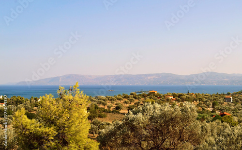 landscape of Eretria Euboea Greece - scenery from above photo