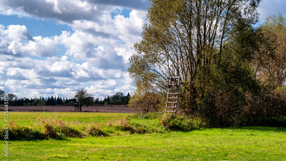 Narwiański Park Narodowy, Polska, Podlasie Narwiański Park Narodowy, Polska, Podlasie