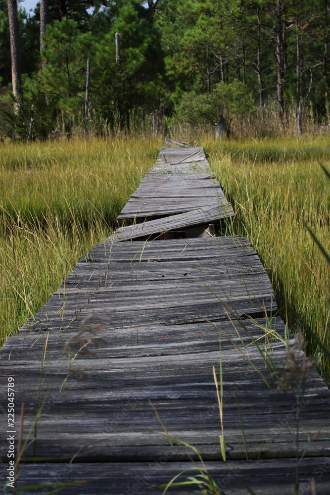 Obraz premium Wooden bridge in grass swamp