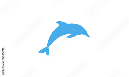 dolphin vector