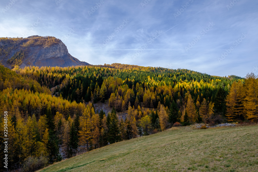 Fototapeta premium Paysage des Alpes en automne. La forêt et les montagnes. France, Alpes de Haute Provence.