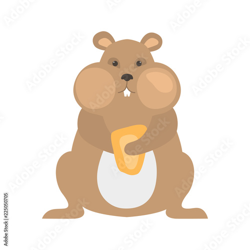 Hamster color vector icon. Flat design