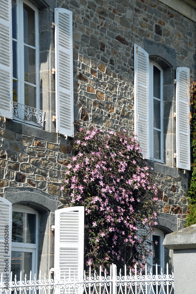 Ville de Combourg, maison bretonne avec volets blancs ouverts, rosier rose grimpant sur le mur, département d'Ille-et-Vilaine, Bretagne, France