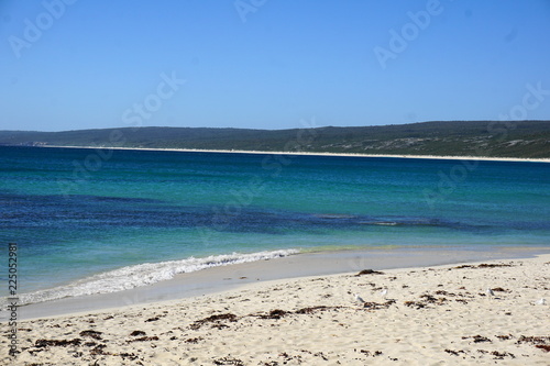 Fototapeta Naklejka Na Ścianę i Meble -  Die Bucht der Hamelin Bay