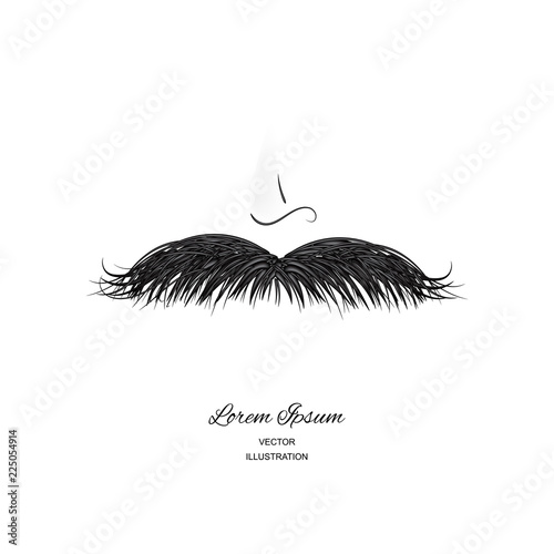 Curly black vintage mustache, moustache or whisker