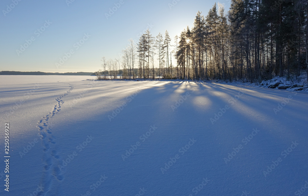 footmarks on snow