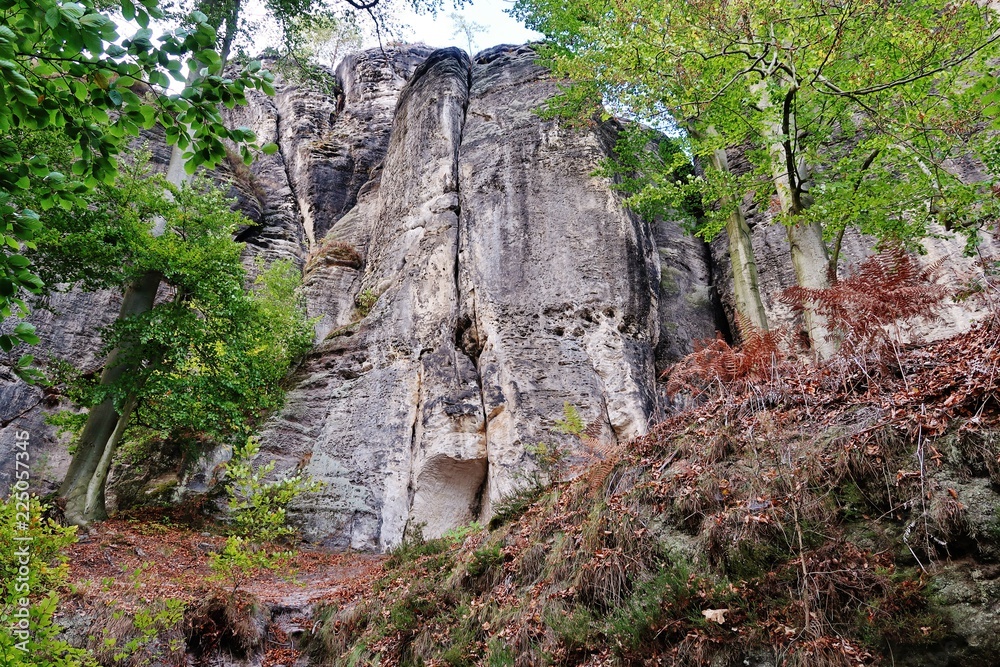 Felswand, Bastei-Region, Sächsische Schweiz