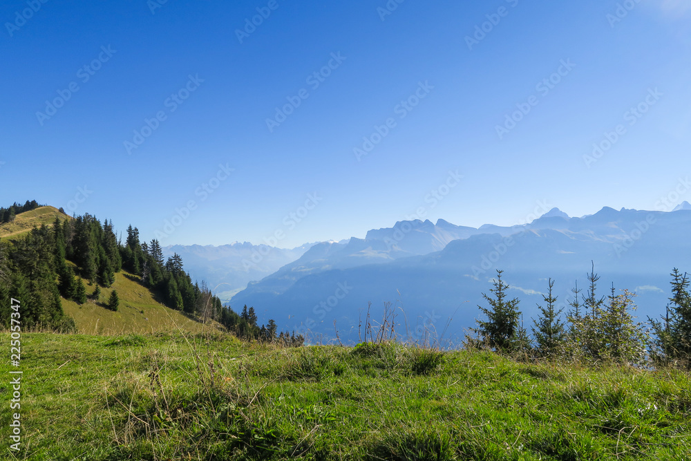 Naklejka premium Hiking in the stunning Swiss mountains, view of the alps, green grass, forest swiand footpath