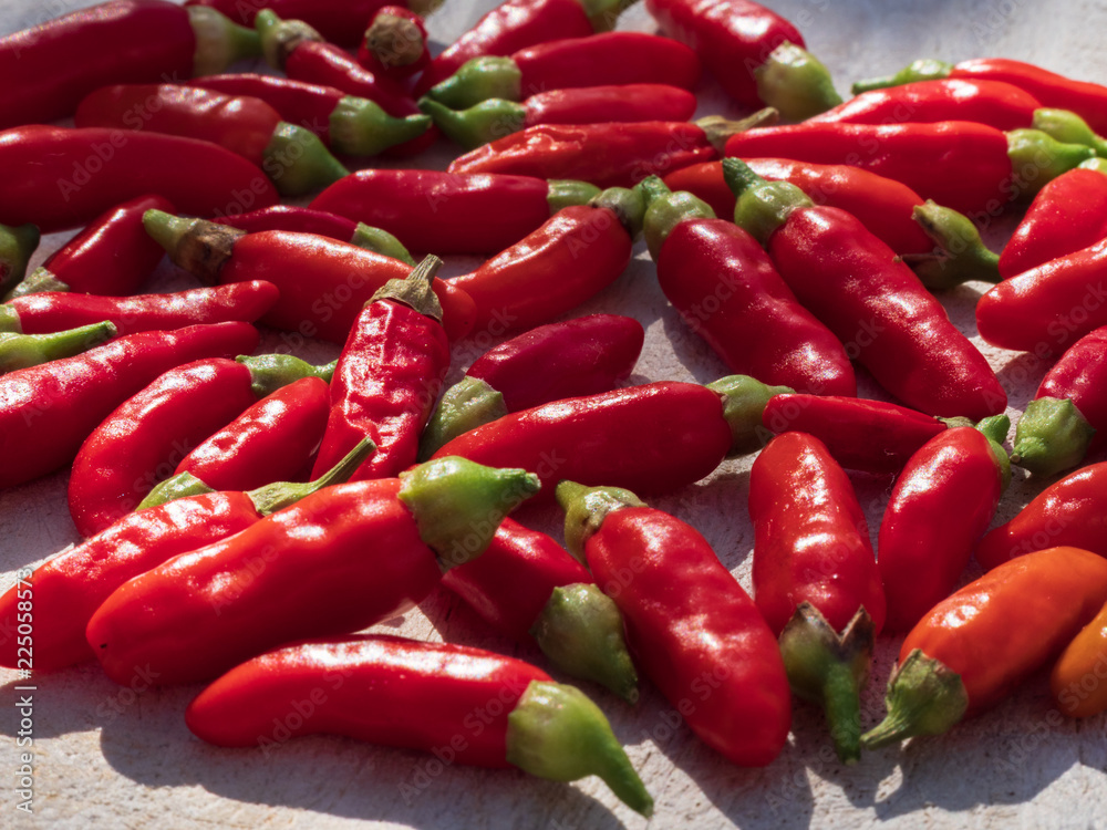 Harvested small red chilli which are real hot and nature grown Harvested small red chilli which are real hot and nature grown
