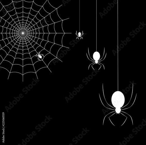 Hanging spiders and spider web on black background